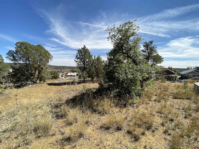 15 Salt Brush St, Durango, CO 81301