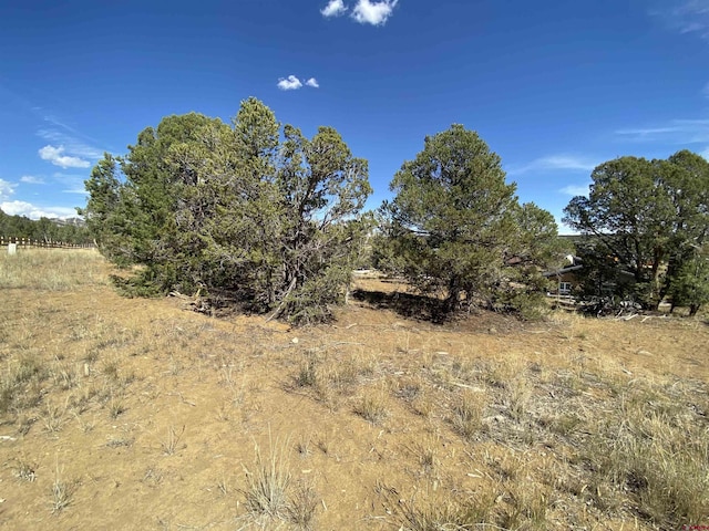15 Salt Brush St, Durango, CO 81301