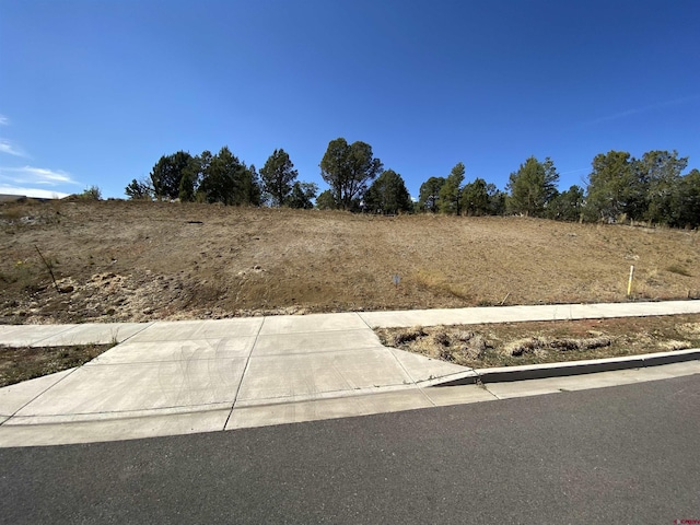 15 Salt Brush St, Durango, CO 81301