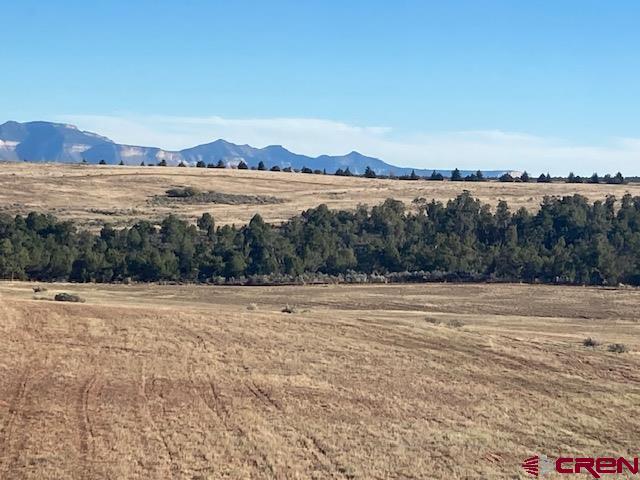 TBD Road 18, Cortez CO, 81321 land for sale