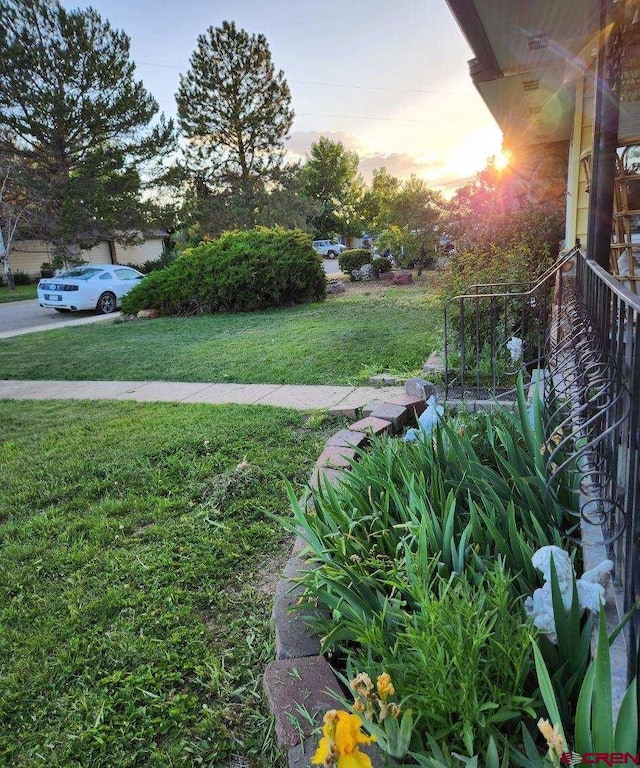 view of yard at dusk