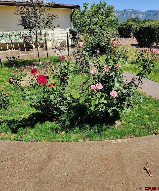 view of yard with a mountain view