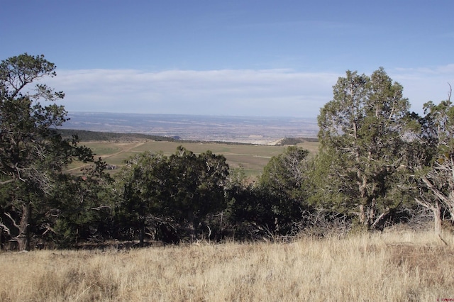 TBD K73 Trail, Montrose CO, 81401 land for sale