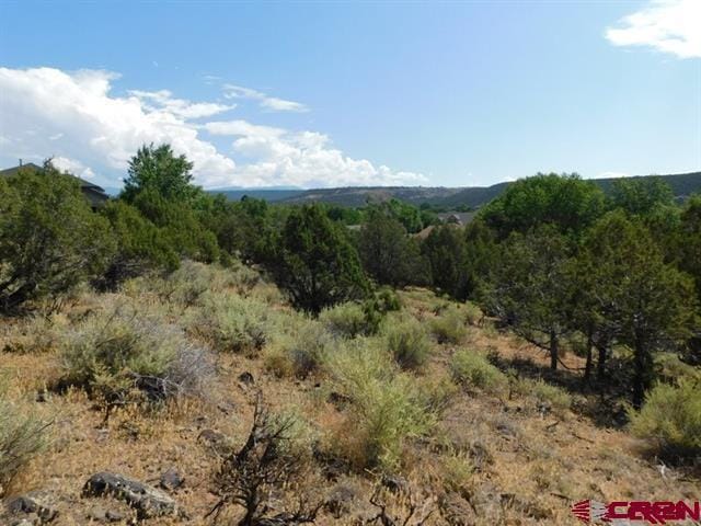 240 SE Flintlock Ct, Cedaredge CO, 81413 land for sale