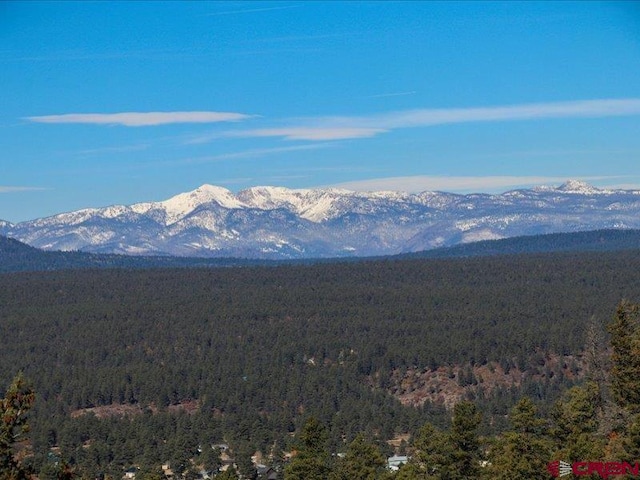 view of mountain feature