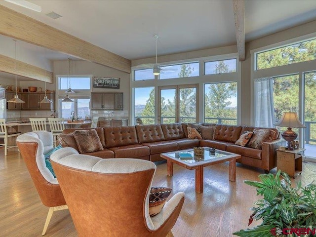 living room featuring beamed ceiling, a healthy amount of sunlight, and light hardwood / wood-style flooring