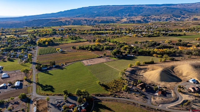 bird's eye view with a mountain view and a rural view