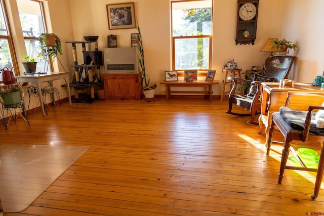 living area with light hardwood / wood-style flooring