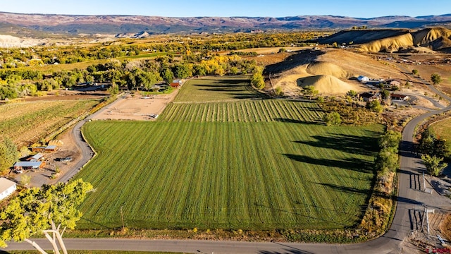 bird's eye view featuring a mountain view