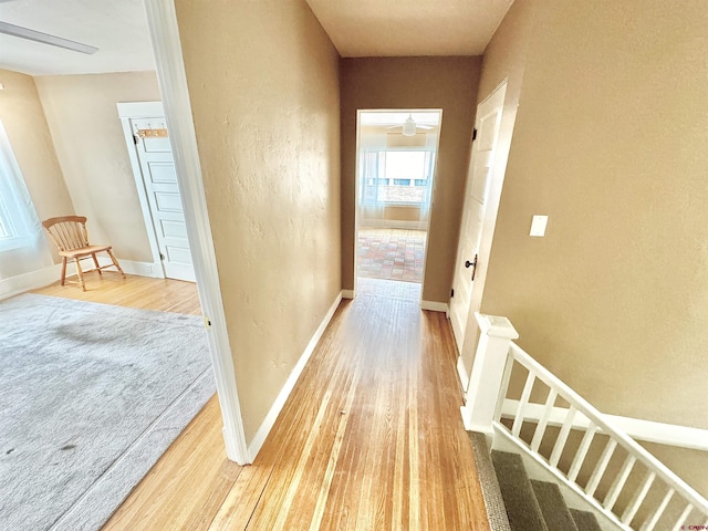 hall featuring light hardwood / wood-style flooring