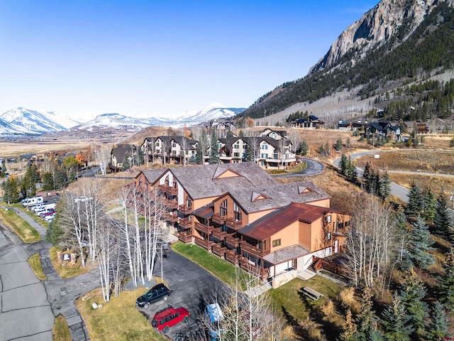 350 Country Club Dr Unit 116A, Crested Butte, CO 81224 - mountain view