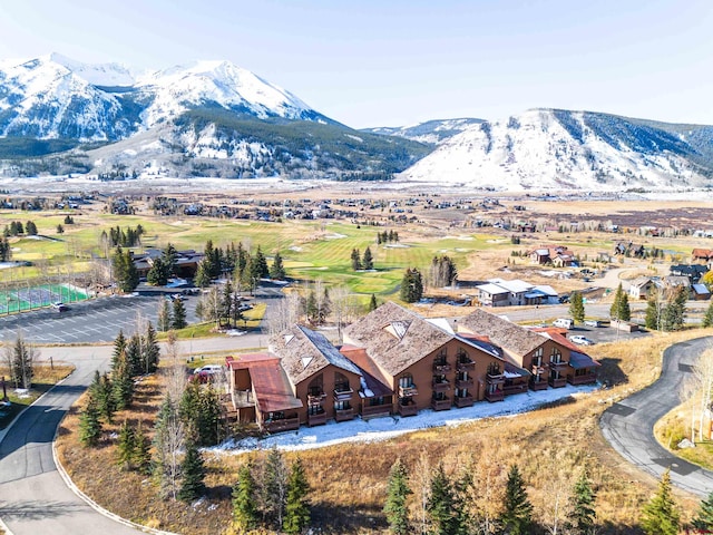 350 Country Club Dr Unit 116A, Crested Butte, CO 81224 - mountain view