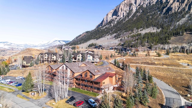 350 Country Club Dr Unit 116A, Crested Butte, CO 81224 - mountain view