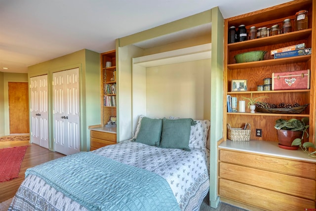 bedroom with wood-type flooring and two closets