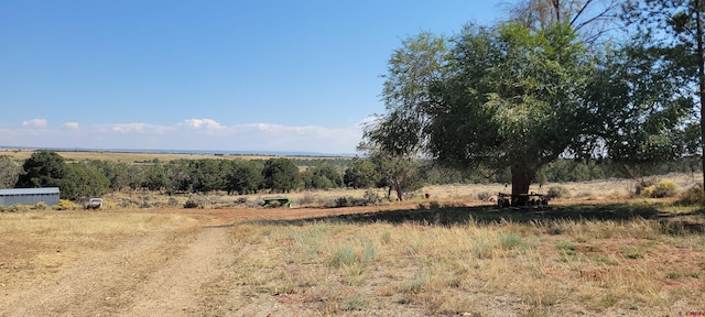 9966 Rd 7, Dove Creek, CO 81324 - view of undeveloped land featuring rural landscape