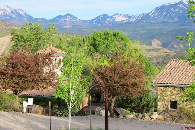 view of mountain feature