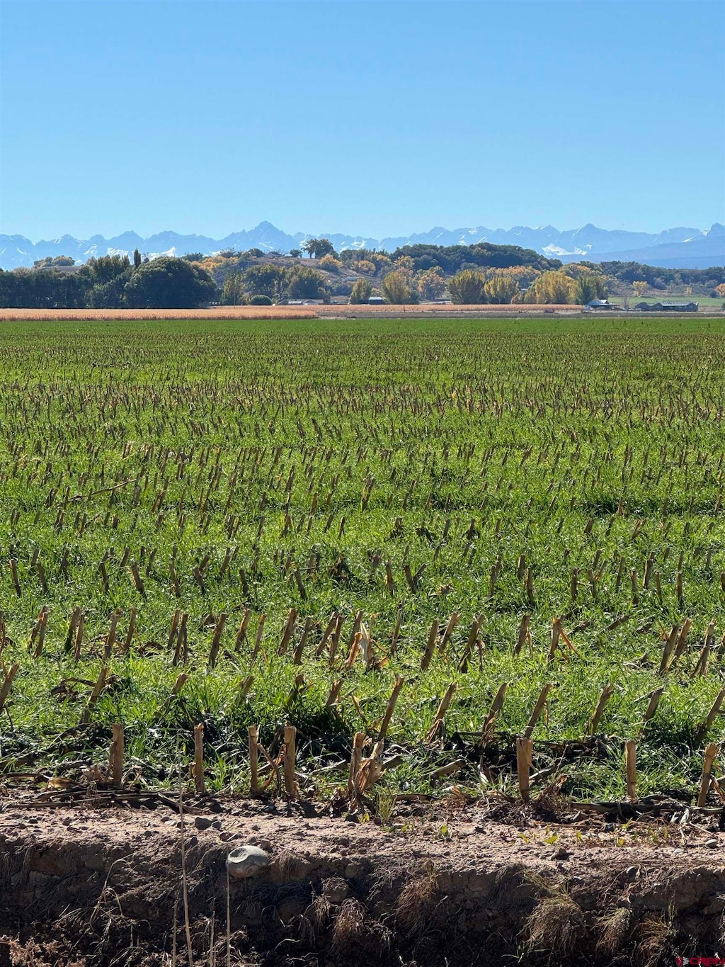 TBD 58.00 Rd, Montrose, CO 81403
