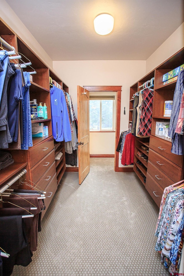 walk in closet with light colored carpet