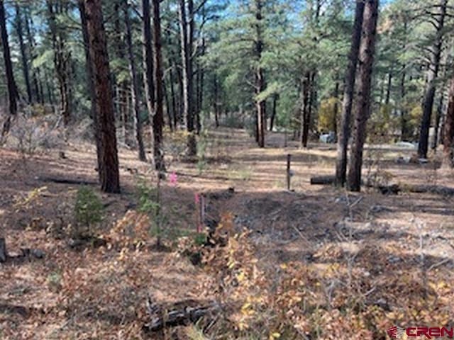 Listing photo 2 for 97 Maple Glen Pl, Pagosa Springs CO 81147