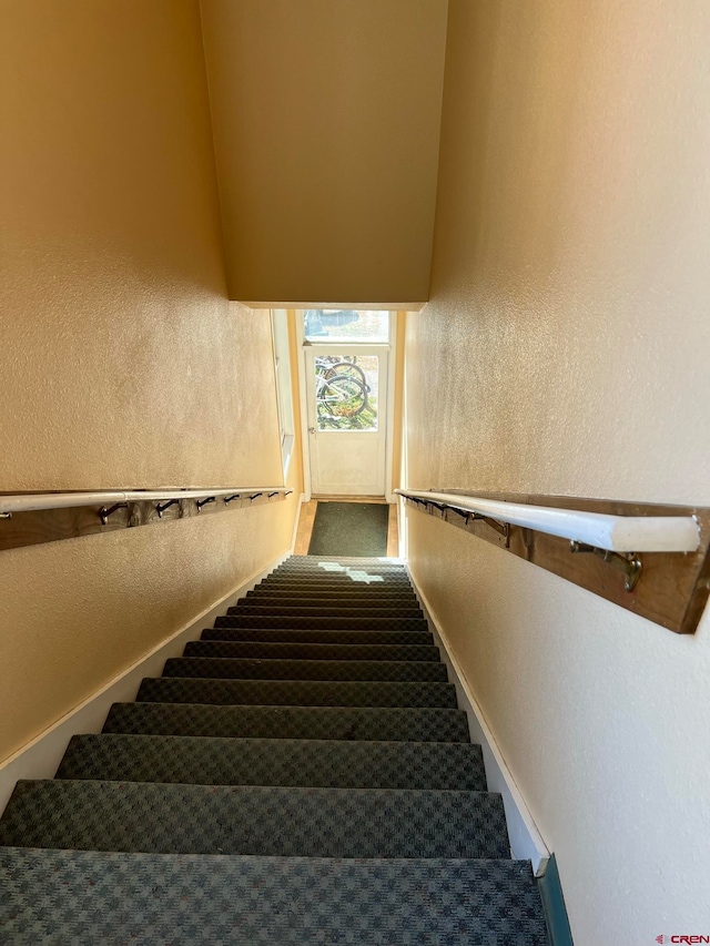 stairs with carpet