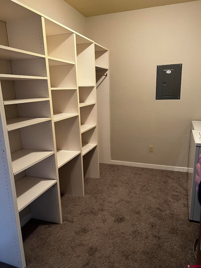 spacious closet with electric panel and dark carpet