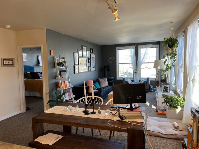 dining space with carpet floors