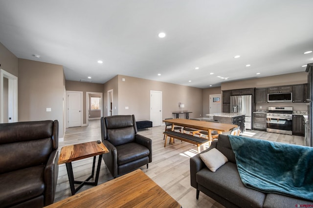 449 Birch St, Bayfield, CO 81122 - living area with light wood-style flooring, recessed lighting, and baseboards