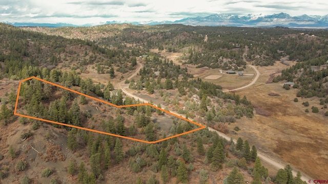 1433 Harvard Ave, Pagosa Springs CO, 81147 land for sale