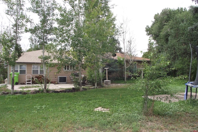 view of yard featuring a patio area