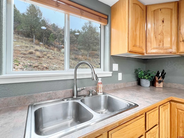 kitchen featuring sink