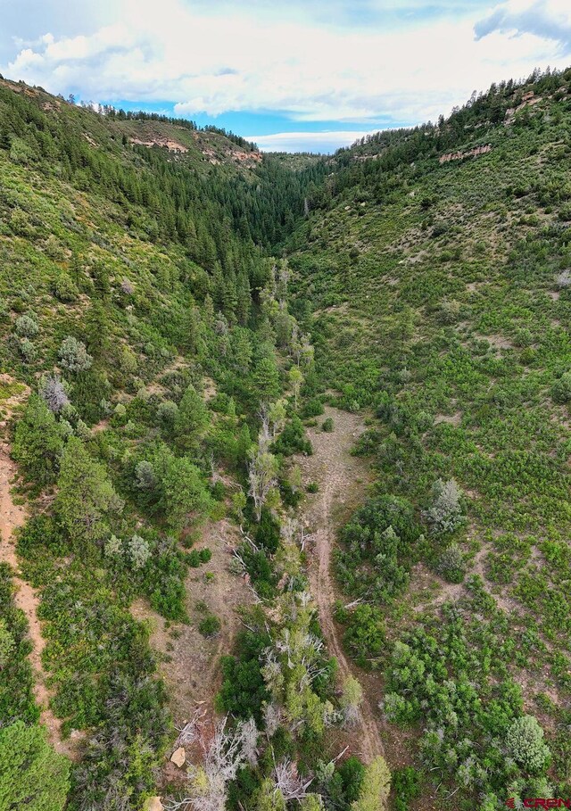 property view of mountains