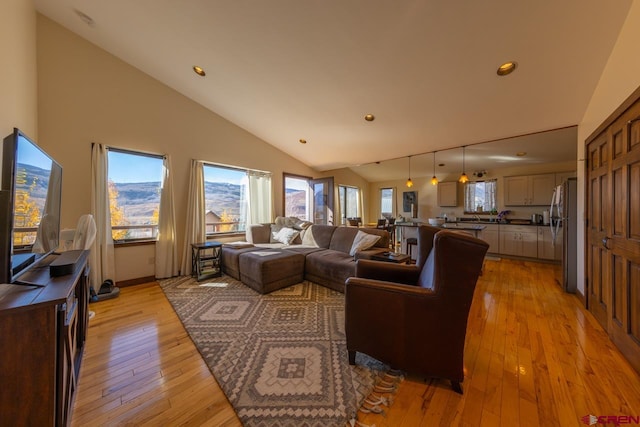 living room with light hardwood / wood-style floors and high vaulted ceiling