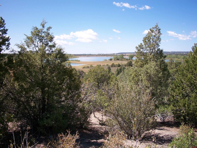 13989 Rd 35.6, Mancos, CO 81328