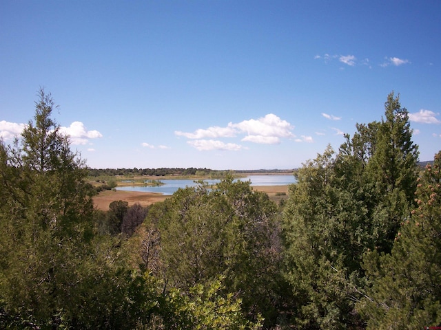 13989 Rd 35.6, Mancos, CO 81328