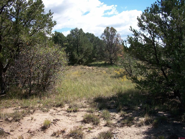 13989 Rd 35.6, Mancos, CO 81328