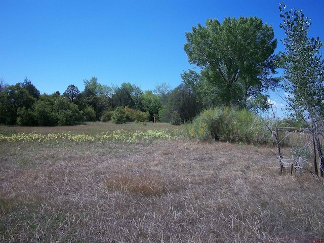 13989 Rd 35.6, Mancos, CO 81328