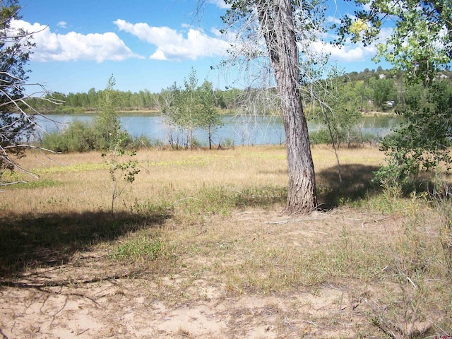 13989 Rd 35.6, Mancos, CO 81328