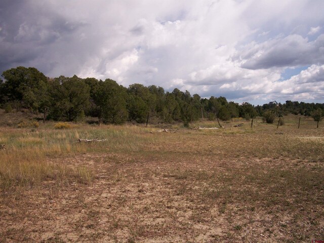 13989 Rd 35.6, Mancos, CO 81328