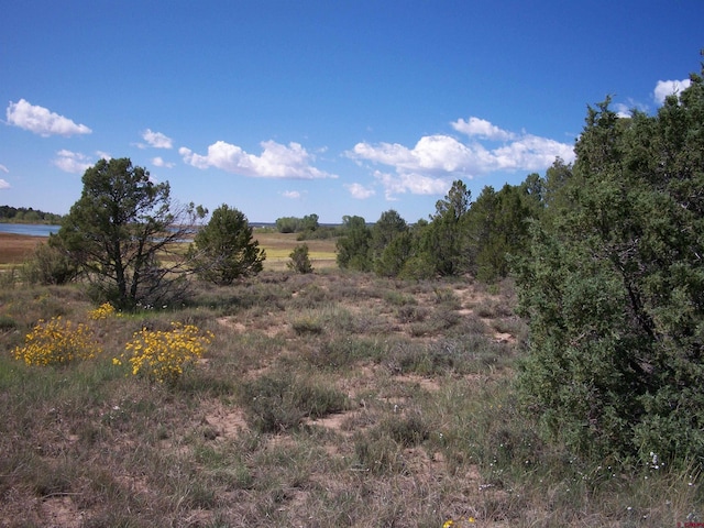 13989 Rd 35.6, Mancos, CO 81328