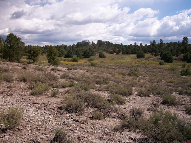 13989 Rd 35.6, Mancos, CO 81328