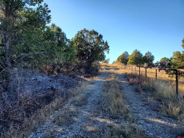 13989 Rd 35.6, Mancos, CO 81328