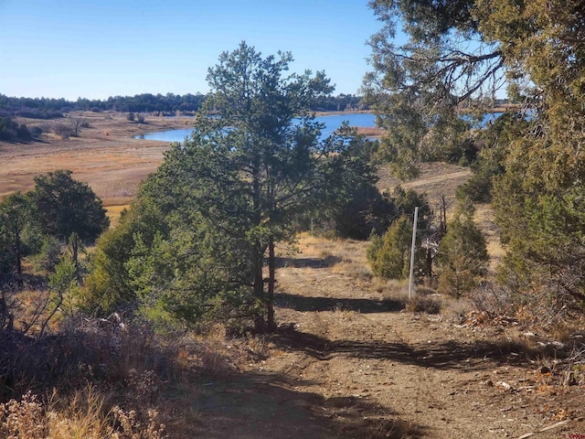 13989 Rd 35.6, Mancos, CO 81328