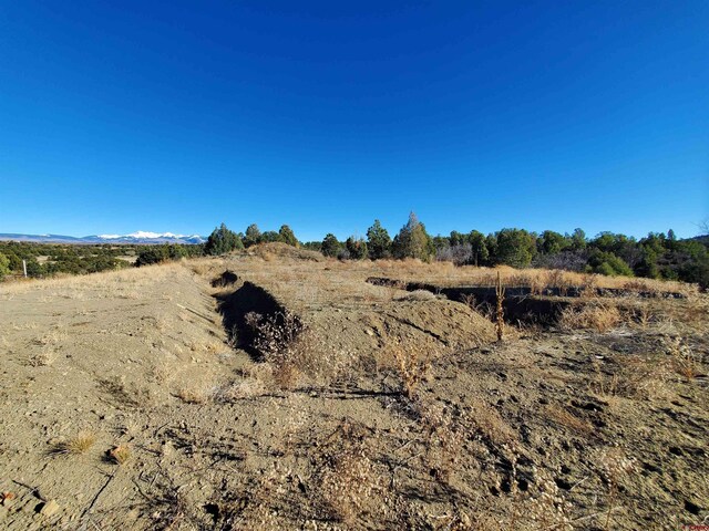 13989 Rd 35.6, Mancos, CO 81328