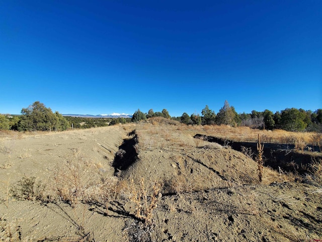 13989 Rd 35.6, Mancos, CO 81328