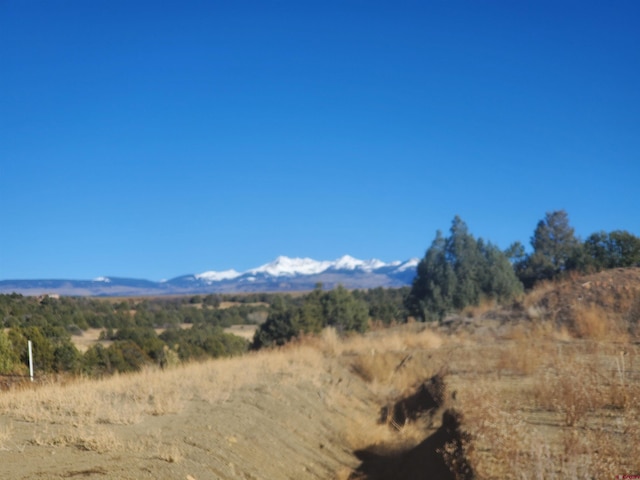 13989 Rd 35.6, Mancos, CO 81328