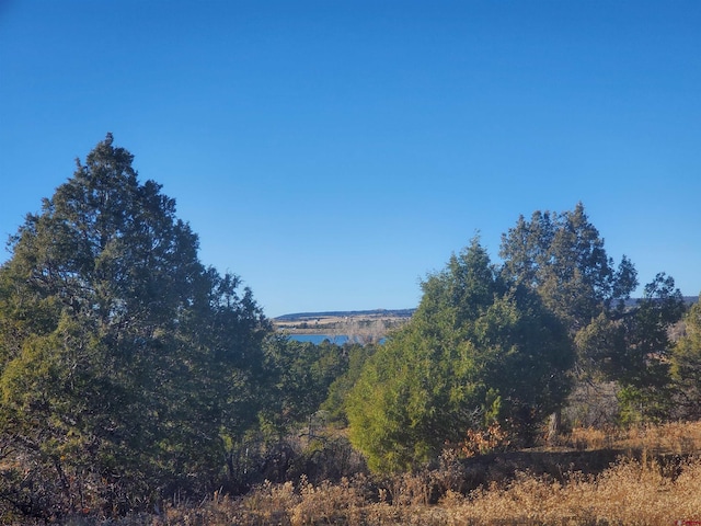 13989 Rd 35.6, Mancos, CO 81328