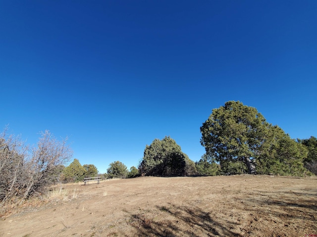 13989 Rd 35.6, Mancos, CO 81328
