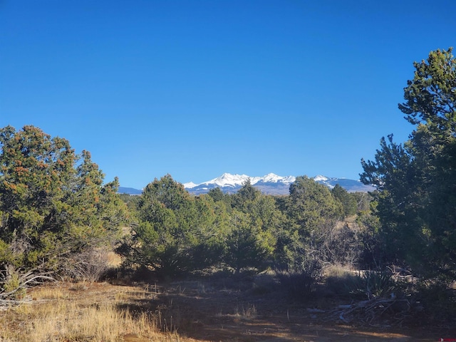 13989 Rd 35.6, Mancos, CO 81328