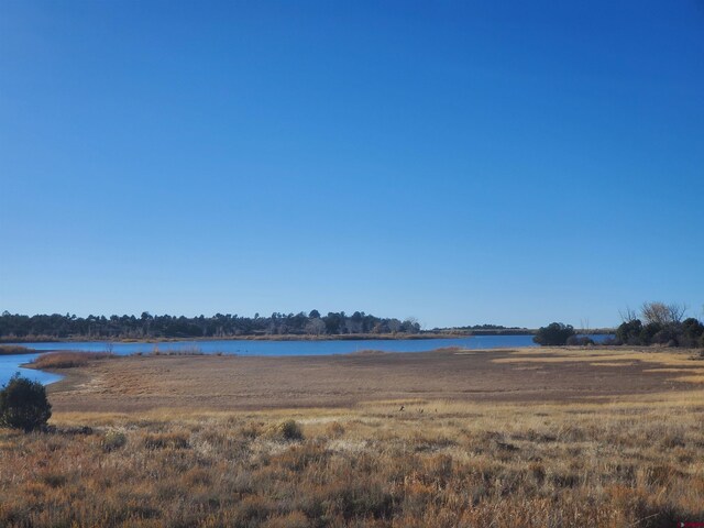 13989 Rd 35.6, Mancos, CO 81328