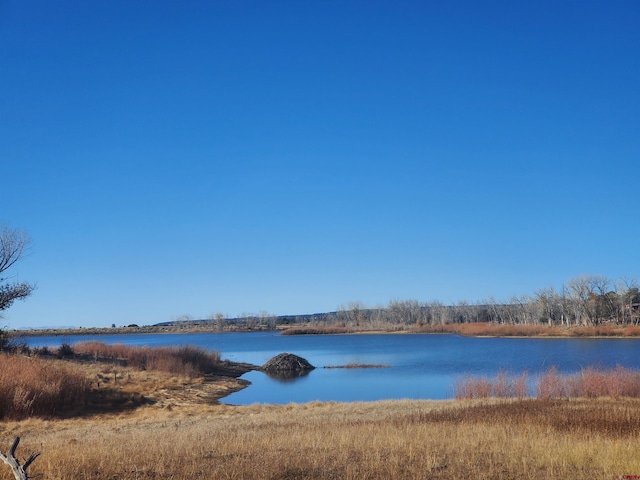 13989 Rd 35.6, Mancos, CO 81328